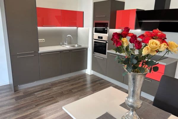 1 bedroom with open-plan kitchen flat to rent, 70 m², Zvěřinova, Praha 1 bedroom with open-plan kitchen flat to rent, 70 m², Zvěřinova, Praha