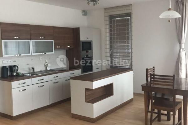 1 bedroom with open-plan kitchen flat to rent, 79 m², Musílkova, Prague, Prague