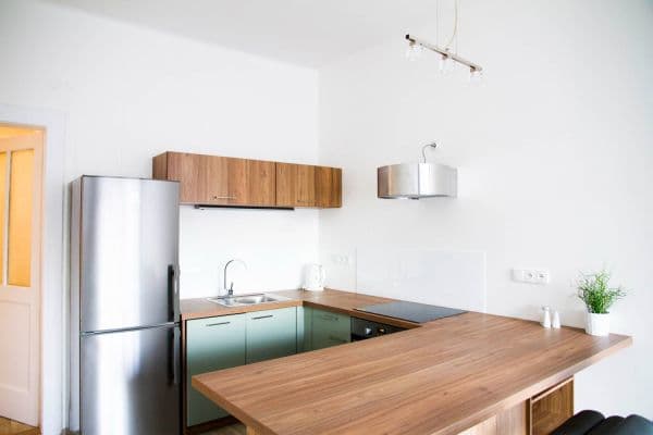 1 bedroom with open-plan kitchen flat to rent, 55 m², Pivovarnická, Praha 1 bedroom with open-plan kitchen flat to rent, 55 m², Pivovarnická, Praha