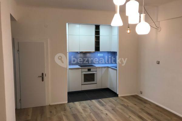 1 bedroom with open-plan kitchen flat to rent, 48 m², Ypsilantiho, Brno, Jihomoravský Region