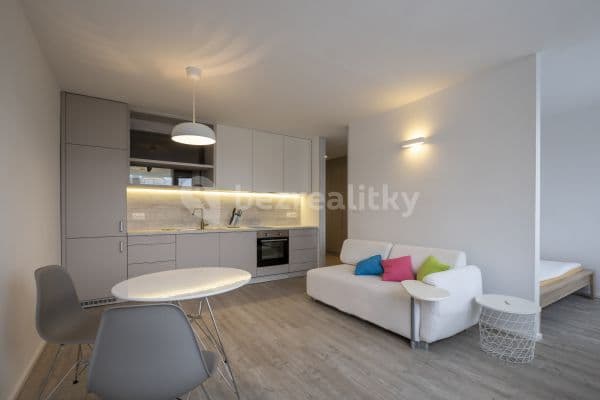 1 bedroom with open-plan kitchen flat to rent, 38 m², Na Strži, 1 bedroom with open-plan kitchen flat to rent, 38 m², Na Strži,