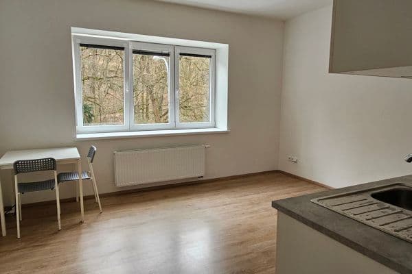 flat to rent, 24 m², Šárka, Brno flat to rent, 24 m², Šárka, Brno