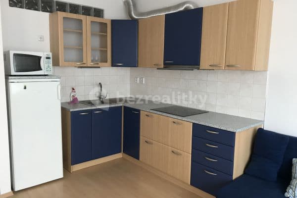 1 bedroom with open-plan kitchen flat to rent, 42 m², Říčanská, Brno 1 bedroom with open-plan kitchen flat to rent, 42 m², Říčanská, Brno