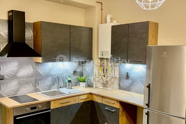 1 bedroom with open-plan kitchen flat to rent, 49 m², Sudoměřská, Praha 1 bedroom with open-plan kitchen flat to rent, 49 m², Sudoměřská, Praha