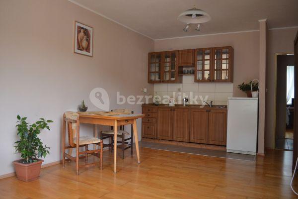 1 bedroom with open-plan kitchen flat to rent, 65 m², Hamerská, Březová