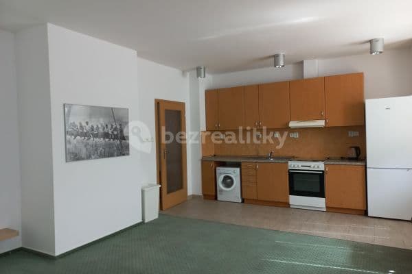 1 bedroom with open-plan kitchen flat to rent, 62 m², Panská, Brno