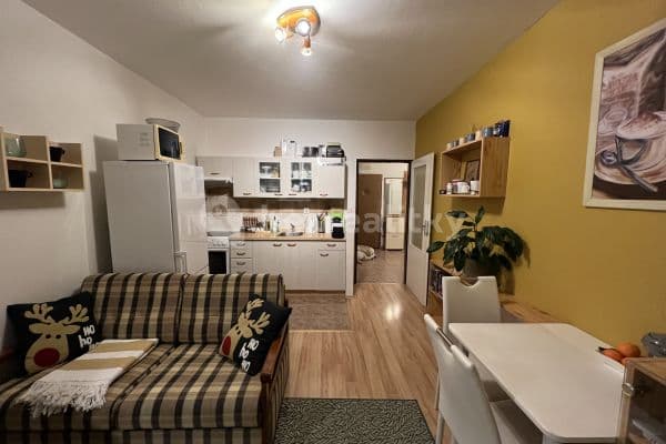 1 bedroom with open-plan kitchen flat to rent, 43 m², Hnězdenská, Prague, Prague