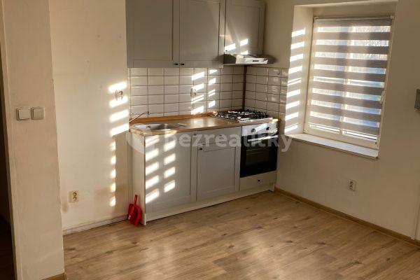 2 bedroom with open-plan kitchen flat to rent, 54 m², S. K. Neumanna, Litvínov
