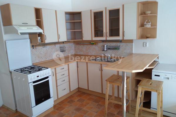 1 bedroom with open-plan kitchen flat to rent, 53 m², Na Maninách, Hlavní město Praha