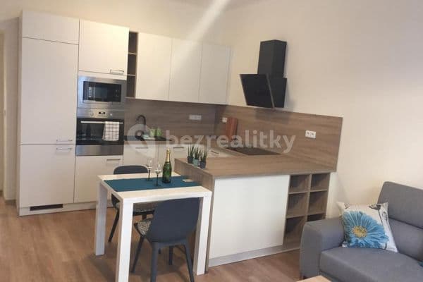 1 bedroom with open-plan kitchen flat to rent, 60 m², Heydukova, Prague, Prague