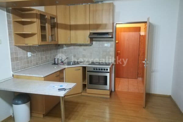 1 bedroom with open-plan kitchen flat to rent, 39 m², Hurbanova, Prague, Prague