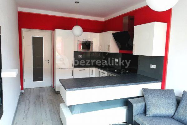 1 bedroom with open-plan kitchen flat to rent, 56 m², Na Veselí, Praha 4