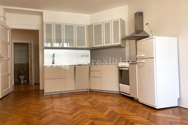 1 bedroom with open-plan kitchen flat to rent, 60 m², Prague, Prague
