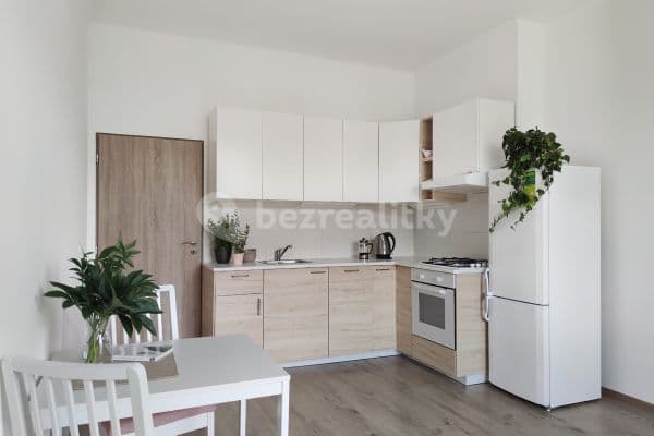 1 bedroom with open-plan kitchen flat to rent, 44 m², Ruská, 