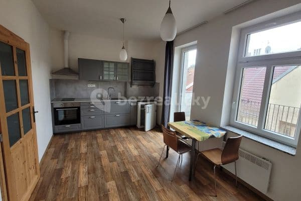 1 bedroom with open-plan kitchen flat to rent, 48 m², Holečkova, 