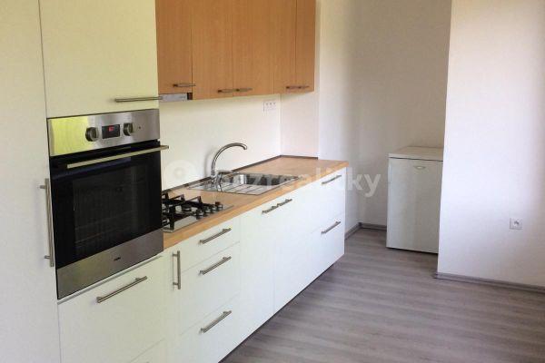 1 bedroom with open-plan kitchen flat to rent, 60 m², Veveří, Brno, Jihomoravský Region