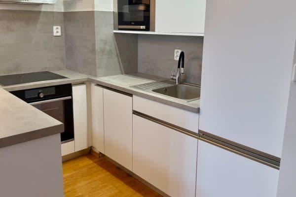 1 bedroom with open-plan kitchen flat to rent, 50 m², Tupolevova,  1 bedroom with open-plan kitchen flat to rent, 50 m², Tupolevova,