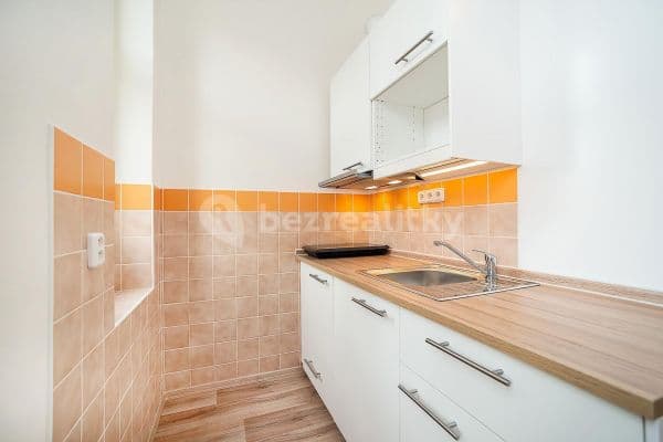 1 bedroom with open-plan kitchen flat to rent, 36 m², Boleslavova, Prague, Prague