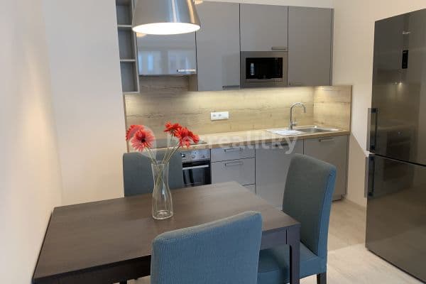 1 bedroom with open-plan kitchen flat to rent, 56 m², U Mlýnského kanálu, Praha 1 bedroom with open-plan kitchen flat to rent, 56 m², U Mlýnského kanálu, Praha