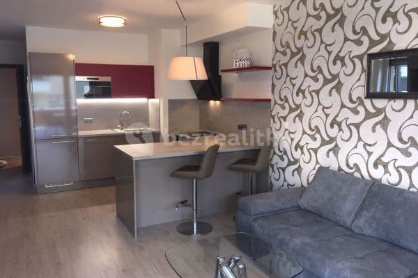 1 bedroom with open-plan kitchen flat to rent, 70 m², Kramperova, Praha