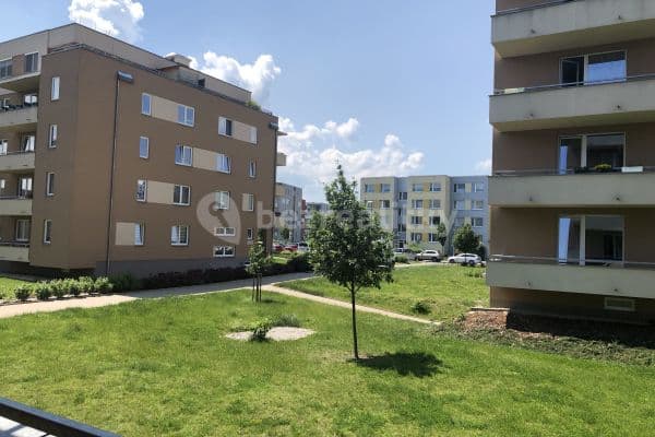 Studio flat to rent, 40 m², Stříbrského, Praha Studio flat to rent, 40 m², Stříbrského, Praha