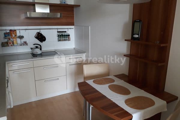1 bedroom with open-plan kitchen flat to rent, 45 m², Brdičkova, 