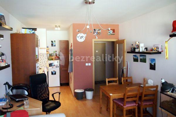 1 bedroom with open-plan kitchen flat to rent, 50 m², Zrzavého, Hlavní město Praha