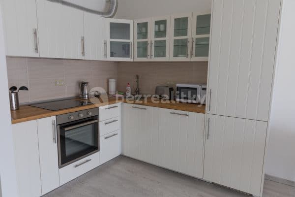 1 bedroom with open-plan kitchen flat to rent, 65 m², Sokolovská, Praha