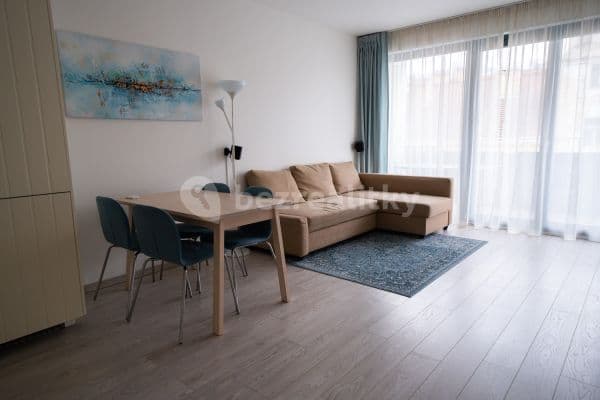 1 bedroom with open-plan kitchen flat to rent, 77 m², Sokolovská, Praha 1 bedroom with open-plan kitchen flat to rent, 77 m², Sokolovská, Praha
