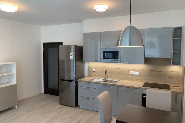 Studio flat to rent, 40 m², U Mlýnského kanálu, Hlavní město Praha Studio flat to rent, 40 m², U Mlýnského kanálu, Hlavní město Praha