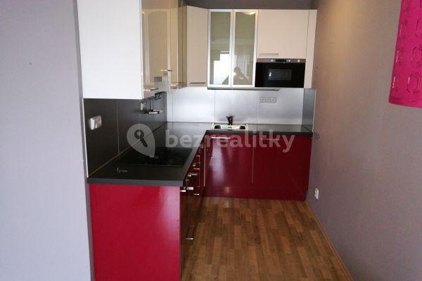 1 bedroom with open-plan kitchen flat to rent, 43 m², Kettnerova, Prague, Prague
