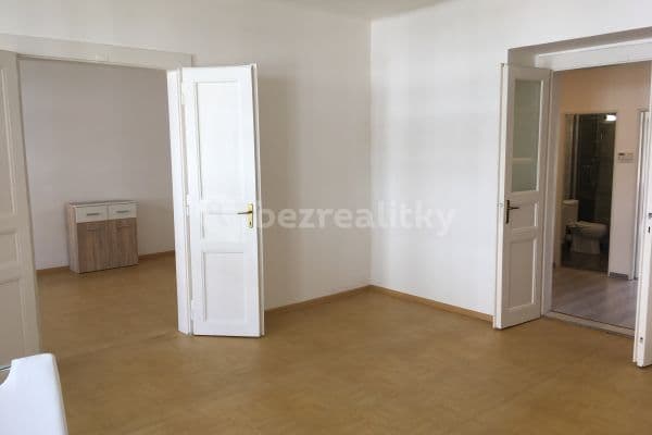 2 bedroom with open-plan kitchen flat to rent, 81 m², Belgická, Prague, Prague