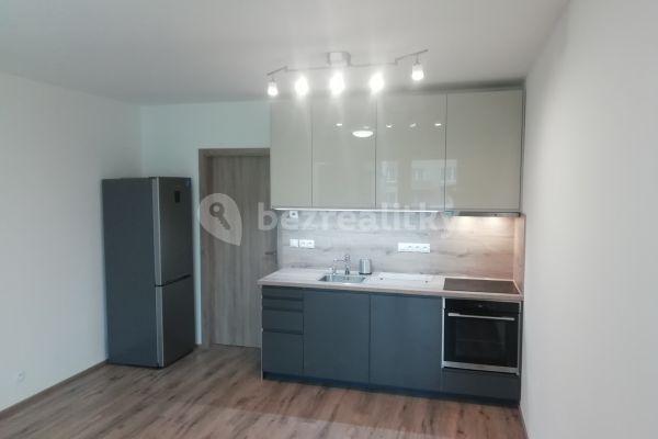 1 bedroom with open-plan kitchen flat to rent, 51 m², U Továren, Prague, Prague