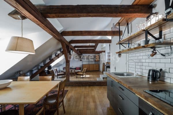 1 bedroom with open-plan kitchen flat to rent, 75 m², Liliová, Prague, Prague