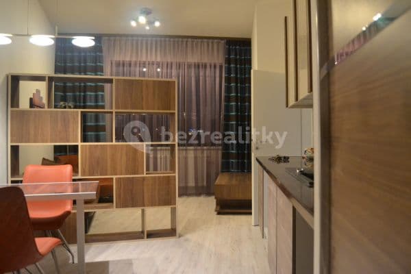 1 bedroom with open-plan kitchen flat to rent, 50 m², Mlýnská, Brno-střed 1 bedroom with open-plan kitchen flat to rent, 50 m², Mlýnská, Brno-střed