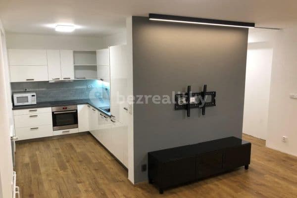 1 bedroom with open-plan kitchen flat to rent, 52 m², Křídlovická, Brno-střed