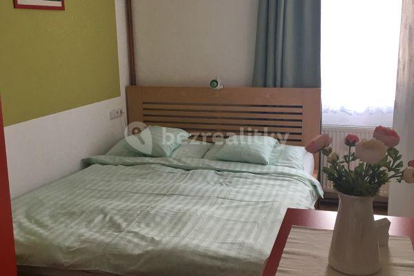 1 bedroom with open-plan kitchen flat to rent, 44 m², Mojmírovo náměstí, Brno, Jihomoravský Region
