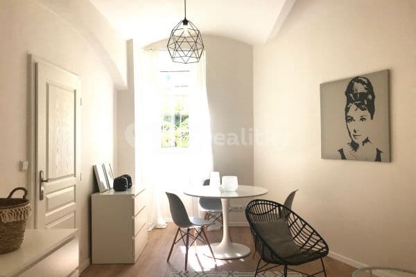1 bedroom with open-plan kitchen flat to rent, 49 m², Krkonošská, Prague, Prague