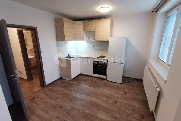 1 bedroom with open-plan kitchen flat to rent, 34 m², Mikšíčkova, Brno-město
