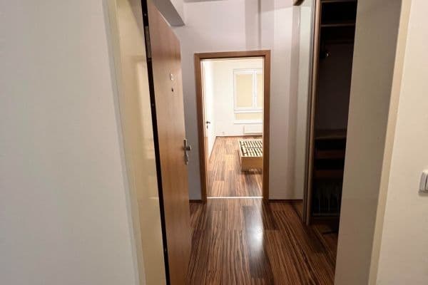 1 bedroom with open-plan kitchen flat to rent, 61 m², Marty Krásové, Praha 1 bedroom with open-plan kitchen flat to rent, 61 m², Marty Krásové, Praha