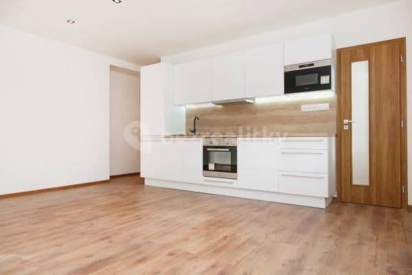 1 bedroom with open-plan kitchen flat to rent, 41 m², Sokolovská, Poruba