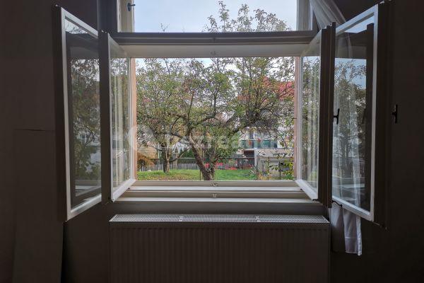 1 bedroom with open-plan kitchen flat to rent, 55 m², Michelská, Praha