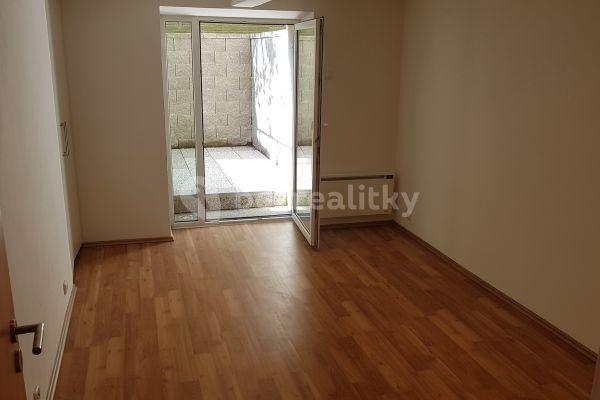 1 bedroom with open-plan kitchen flat to rent, 60 m², Koněvova, Praha