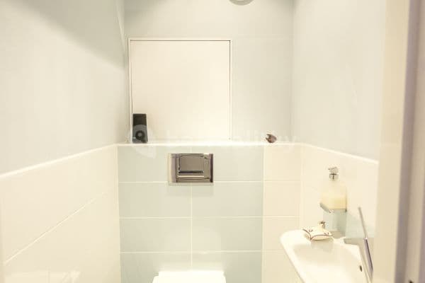 1 bedroom with open-plan kitchen flat to rent, 43 m², U Valu, Praha 6