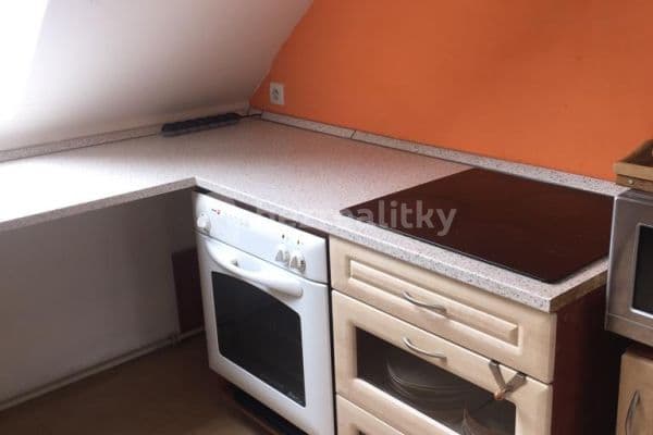 1 bedroom with open-plan kitchen flat to rent, 98 m², Houškova, Plzeň 2-Slovany