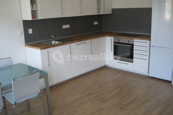 1 bedroom with open-plan kitchen flat to rent, 68 m², Na Žertvách, Praha