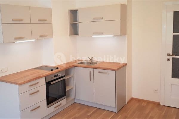 1 bedroom with open-plan kitchen flat to rent, 42 m², Merhautova, Brno