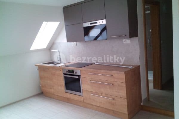 1 bedroom with open-plan kitchen flat to rent, 55 m², Na kovárně, Soběšice 1 bedroom with open-plan kitchen flat to rent, 55 m², Na kovárně, Soběšice
