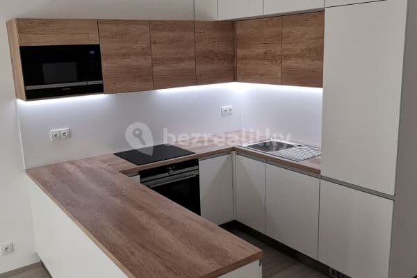2 bedroom with open-plan kitchen flat to rent, 75 m², Křiby, Zlín