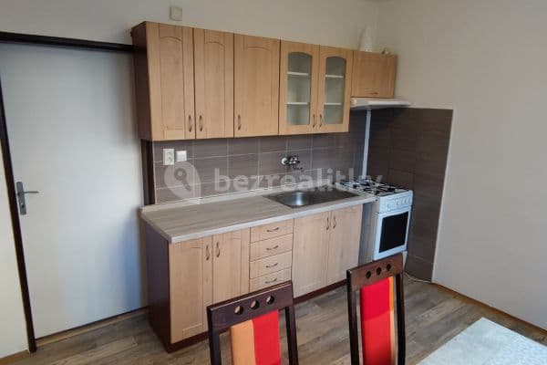 1 bedroom flat to rent, 34 m², U Trojice, České Budějovice